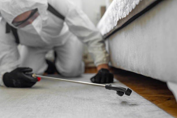 Professional Termite Control technician working in Garfield County County, MT